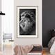 Poster Artgeist Affisch Blue-eyed Lion