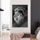 Poster Artgeist Affisch Blue-eyed Lion