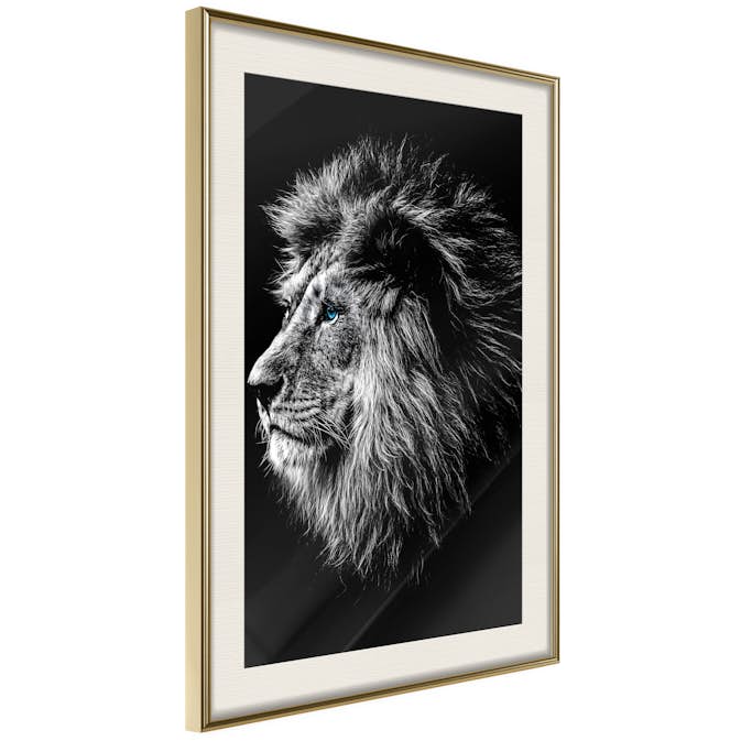 Poster Artgeist Affisch Blue-eyed Lion