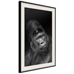Poster Artgeist Affisch Gorilla