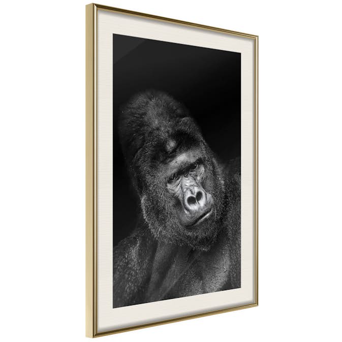 Poster Artgeist Affisch Gorilla