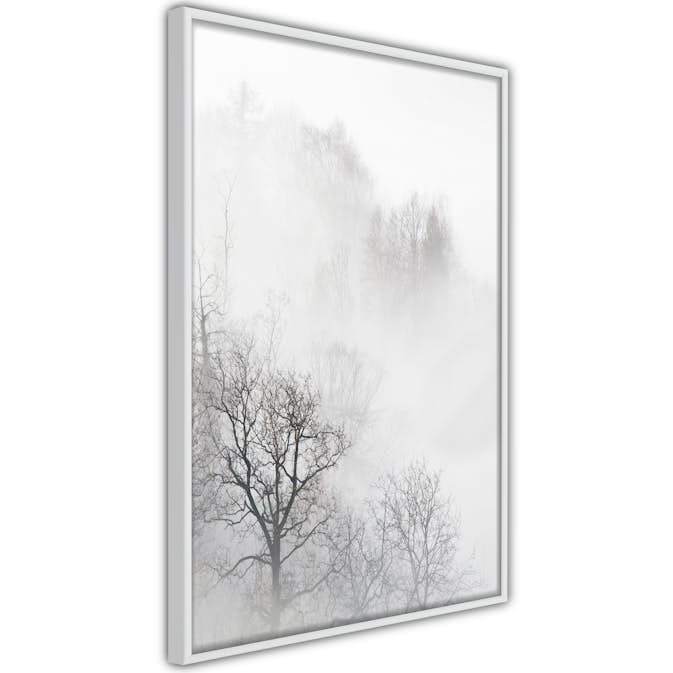 Poster Artgeist Affisch Trees In The Fog