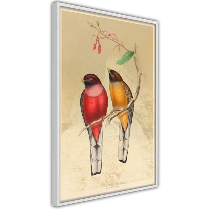 Poster Artgeist Affisch Birds Twig