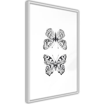 Poster Artgeist Affisch Two Butterflies