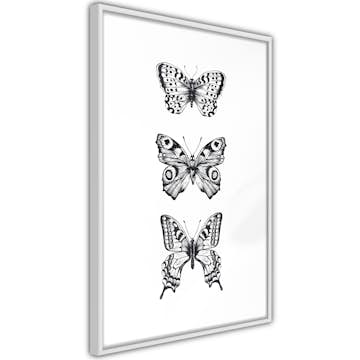 Poster Artgeist Affisch Three Butterflies