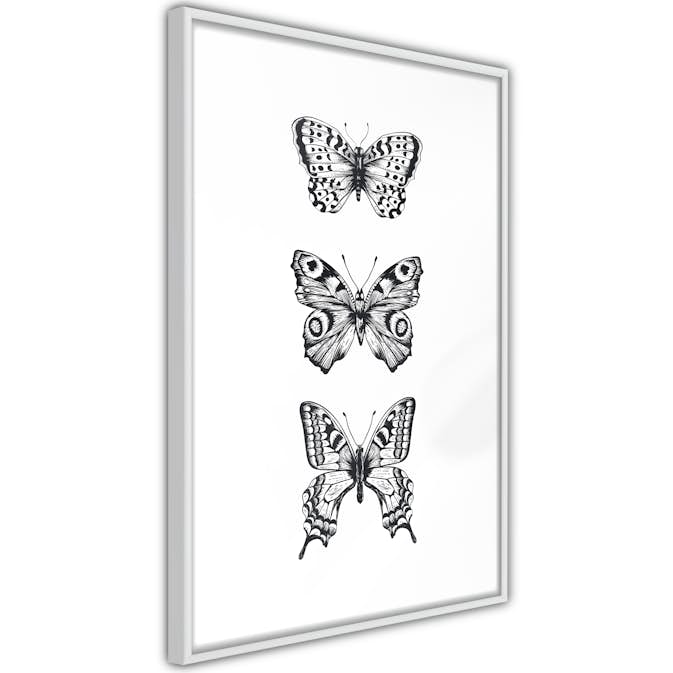Poster Artgeist Affisch Three Butterflies