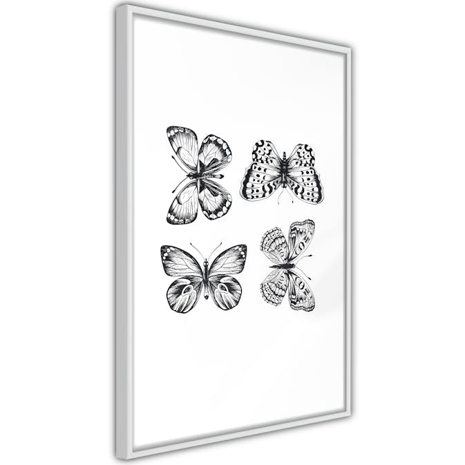 Poster Artgeist Affisch Four Butterflies