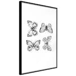 Poster Artgeist Affisch Four Butterflies