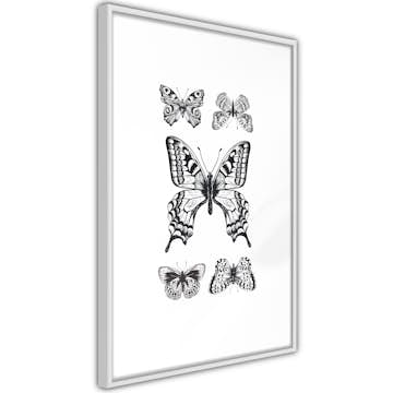 Poster Artgeist Affisch Five Butterflies