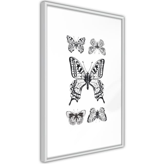 Poster Artgeist Affisch Five Butterflies