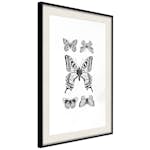 Poster Artgeist Affisch Five Butterflies