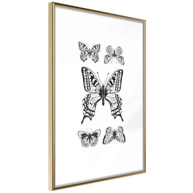 Poster Artgeist Affisch Five Butterflies
