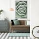 Poster Artgeist Affisch Beautiful Succulent