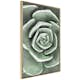Poster Artgeist Affisch Beautiful Succulent