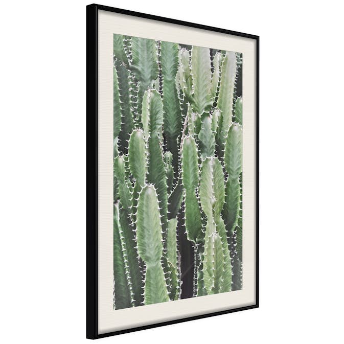 Poster Artgeist Affisch Cactus Garden