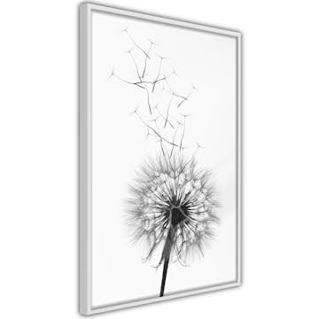 Poster Artgeist Affisch Dandelion