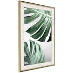 Poster Artgeist Affisch Monstera Leaves
