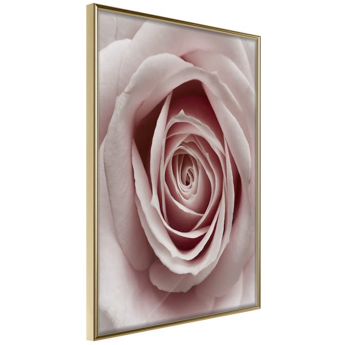 Poster Artgeist Affisch Pastel Rose