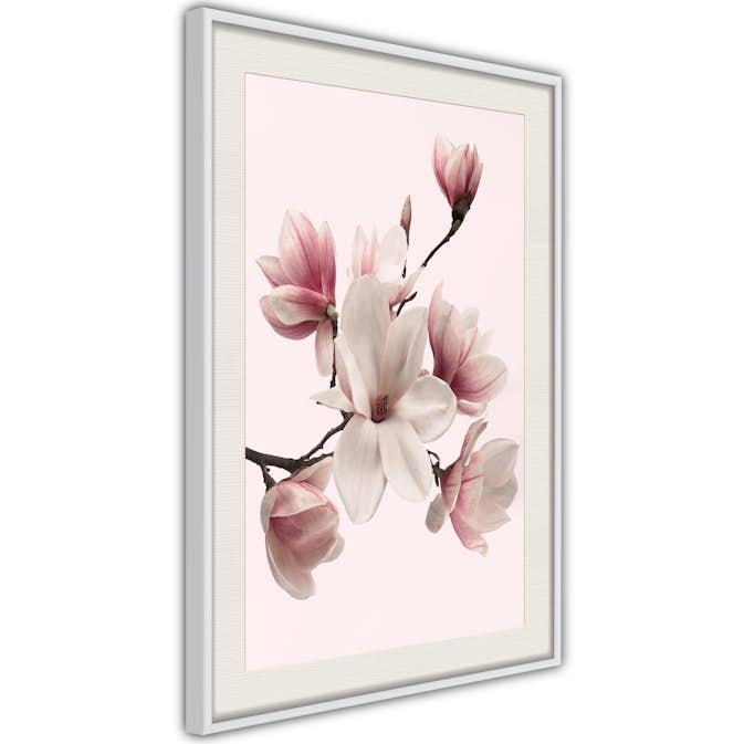 Poster Artgeist Affisch Delicate Magnolias