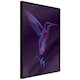 Poster Artgeist Affisch Purple Hummingbird