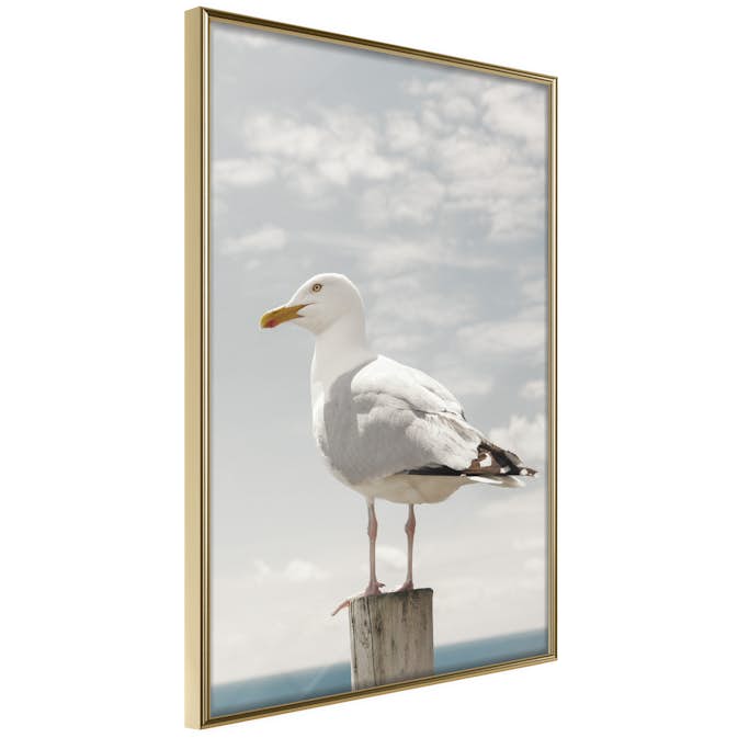 Poster Artgeist Affisch Seagull