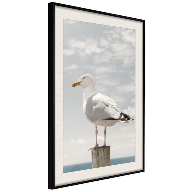 Poster Artgeist Affisch Seagull