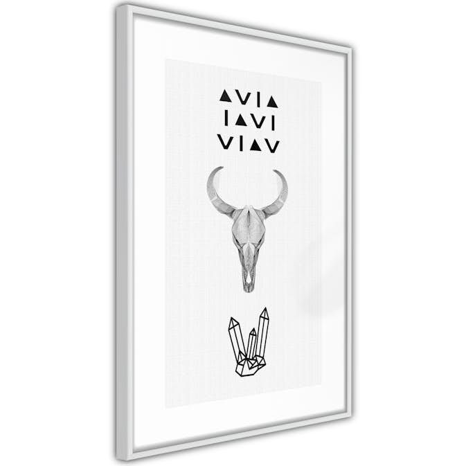 Poster Artgeist Affisch Animal Skull