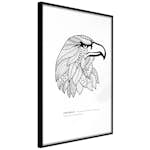 Poster Artgeist Affisch Eagle of Freedom