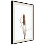 Poster Artgeist Affisch Queen of the Swamps