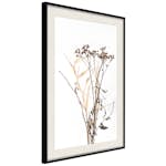 Poster Artgeist Affisch Camomile