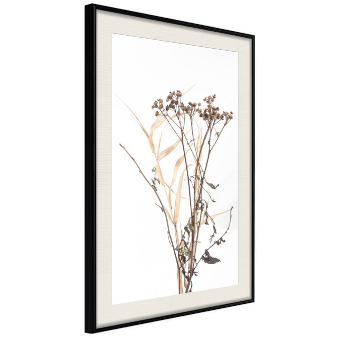 Poster Artgeist Affisch Camomile