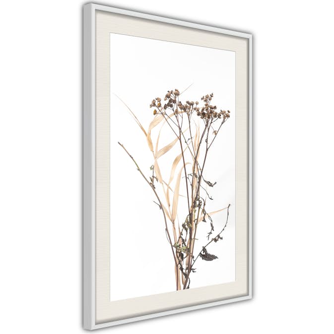 Poster Artgeist Affisch Camomile