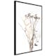 Poster Artgeist Affisch Camomile