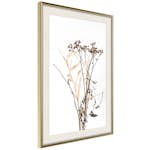 Poster Artgeist Affisch Camomile
