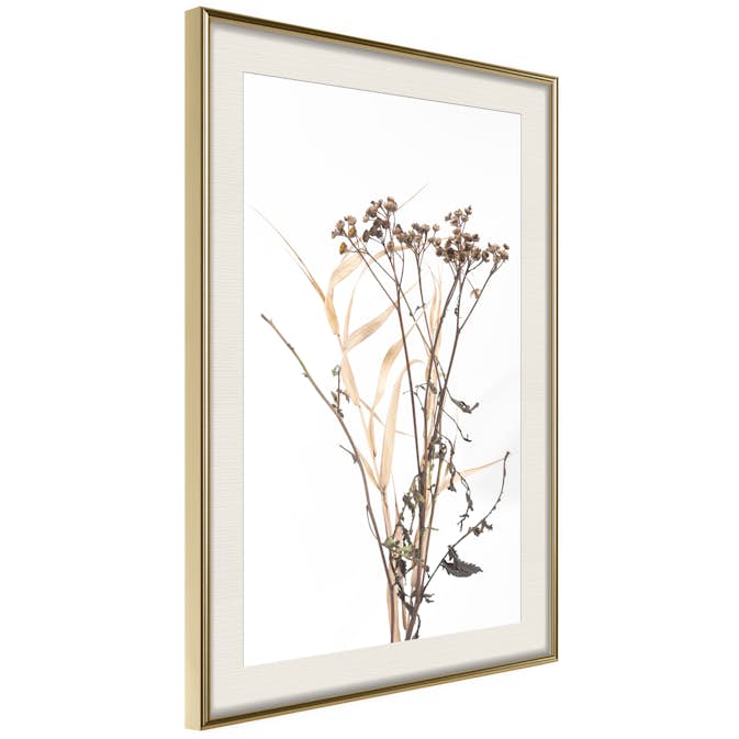 Poster Artgeist Affisch Camomile