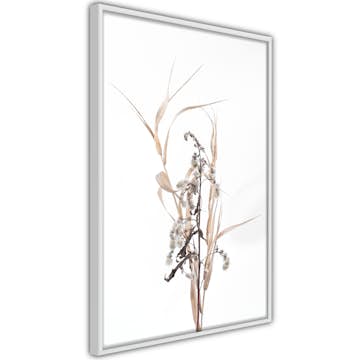 Poster Artgeist Affisch Composition of Herbs