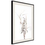 Poster Artgeist Affisch Composition of Herbs