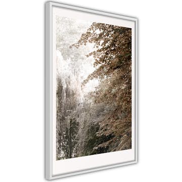 Poster Artgeist Affisch Sepia Park