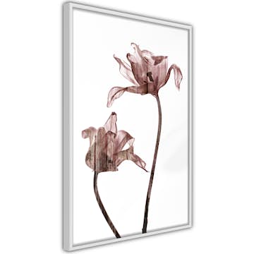 Poster Artgeist Affisch Illuminated Closeness