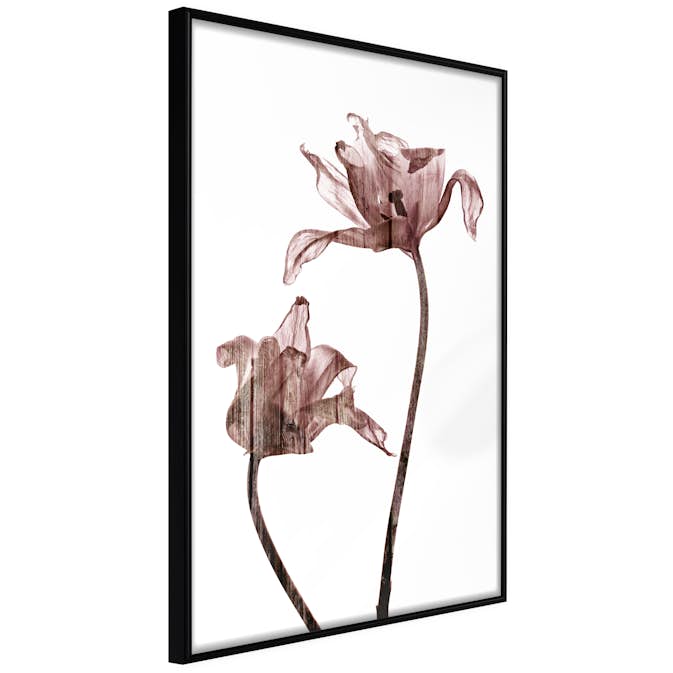 Poster Artgeist Affisch Illuminated Closeness