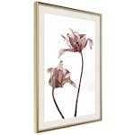 Poster Artgeist Affisch Illuminated Closeness