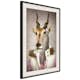 Poster Artgeist Affisch Antelope Jessica