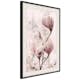 Poster Artgeist Affisch Mature Magnolia