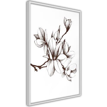 Poster Artgeist Affisch Renaissance Magnolias
