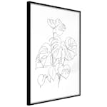 Poster Artgeist Affisch Monochrome Monstera
