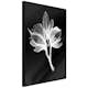 Poster Artgeist Affisch Night Flower