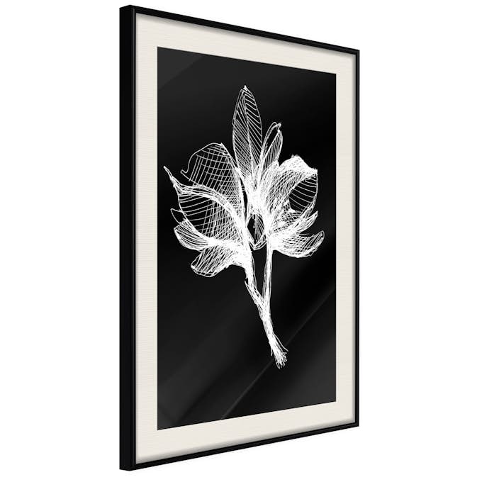 Poster Artgeist Affisch Night Flower
