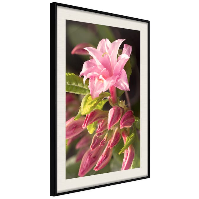 Poster Artgeist Affisch Natural Pink