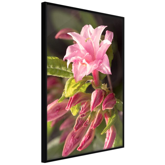 Poster Artgeist Affisch Natural Pink