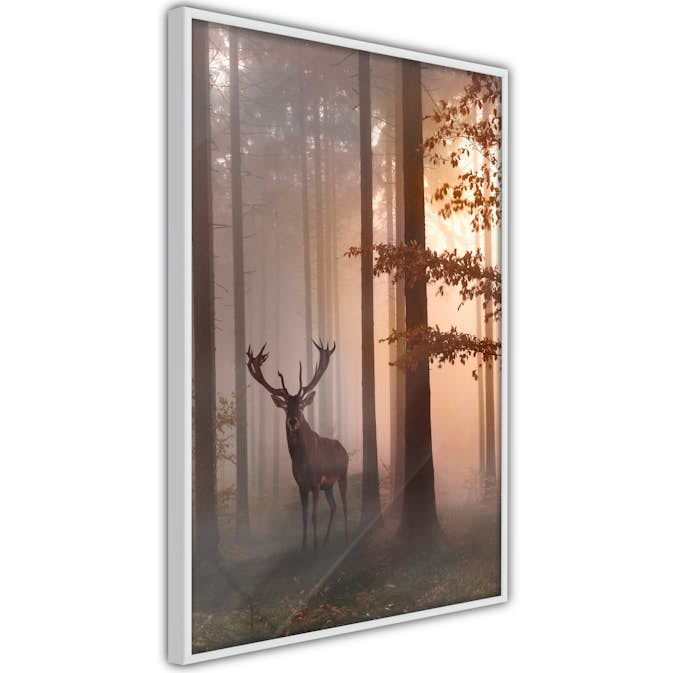 Poster Artgeist Affisch Morning